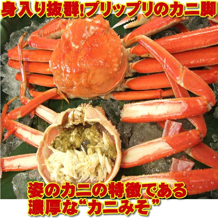 ボイル 茹で済 姿ズワイガニ2尾セットずわいがにカニかに蟹お歳暮