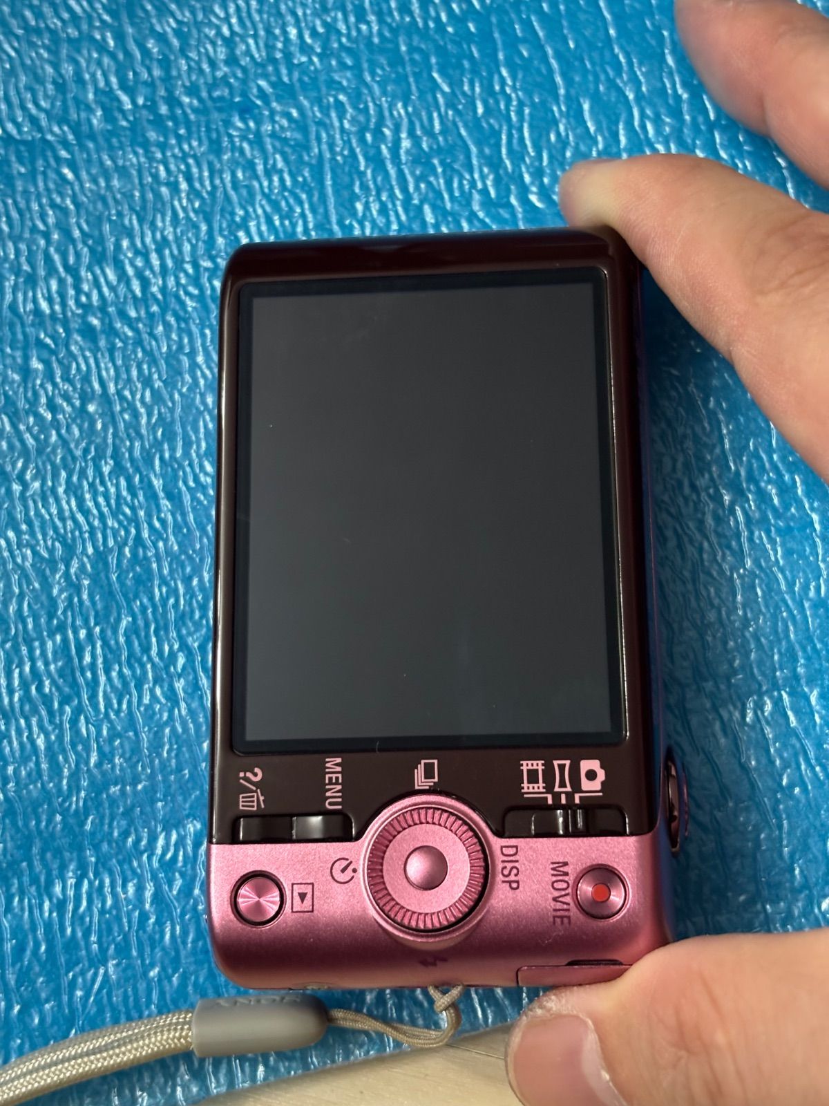 DSC-WX200