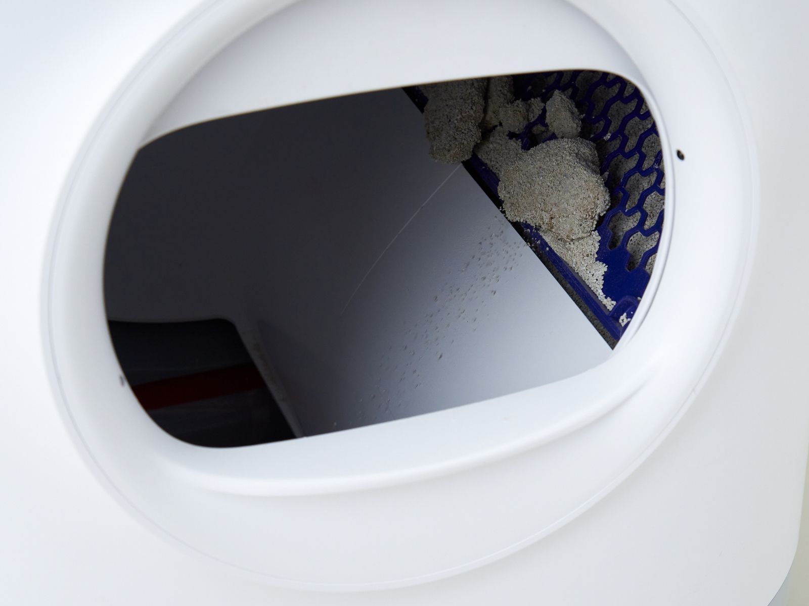 自動ネコトイレ 1台