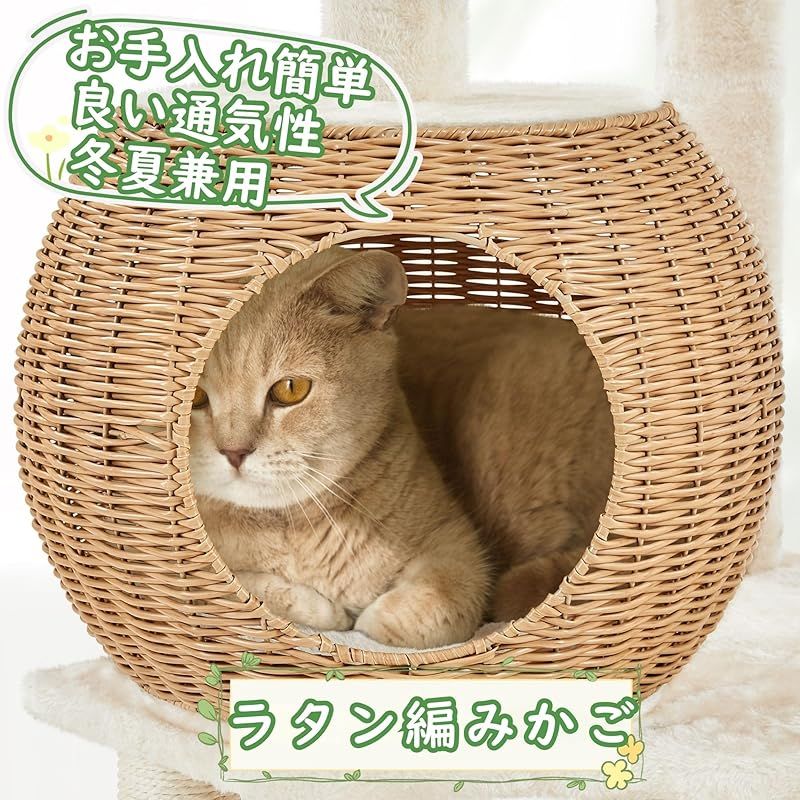 見晴台 クリアボウル