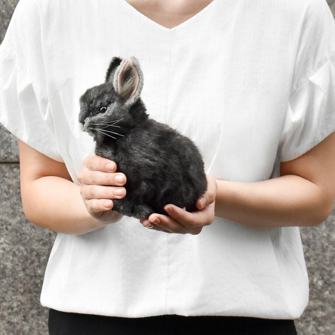 POP MARTグレーのウサギ耳ぬいぐるみ・マスコット POP MART ウサギの耳付きグレーぬいぐるみ・マスコット - メルカリ