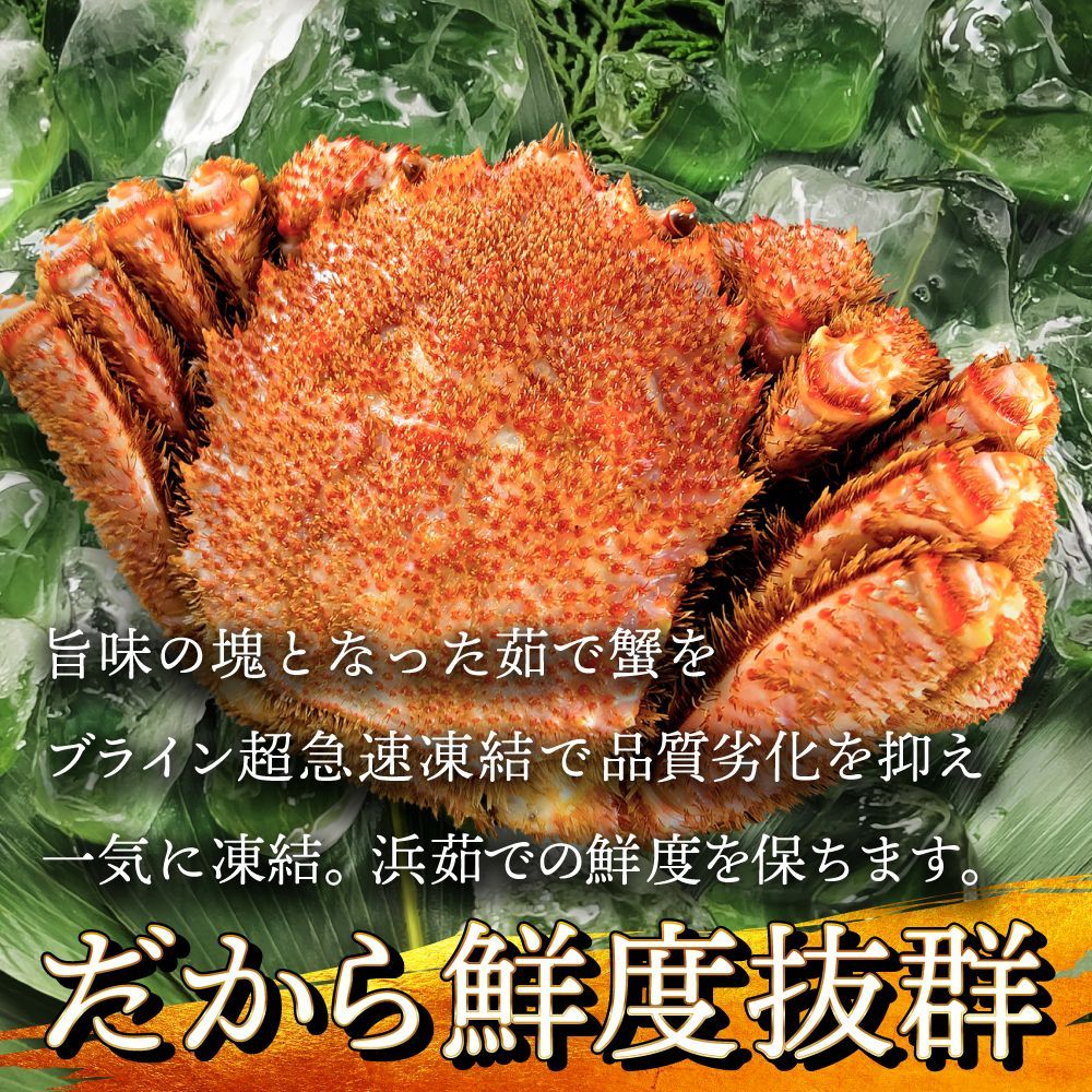 浜茹で毛蟹 約500g×2尾