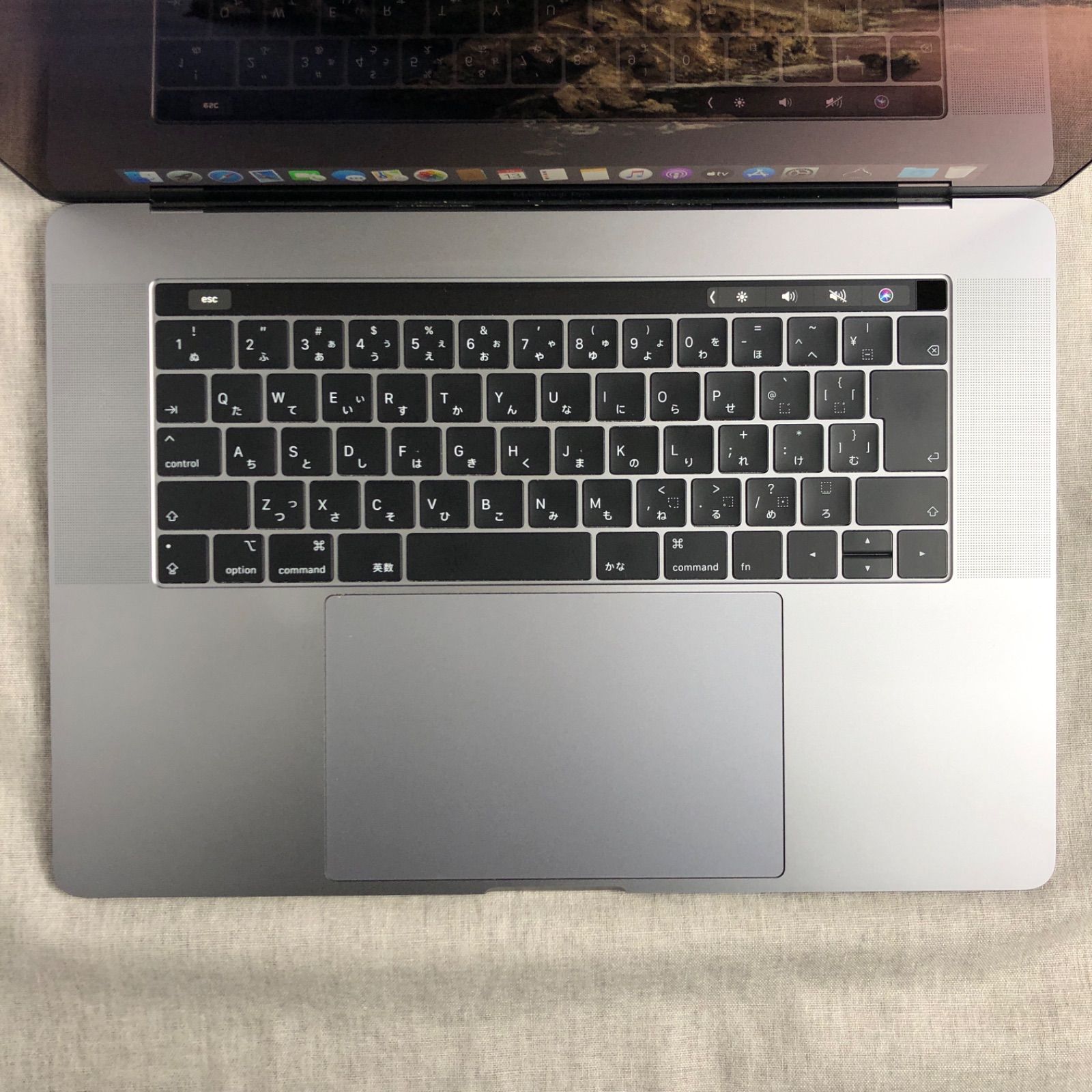 ジン チャン様専用Apple MacBook Pro (15-inch, 2018)【Touch Bar・i7・Radeon Pro  555X・16GB・SSD 256GB】A1990 EMC3215/LT-240169（196491） - メルカリ