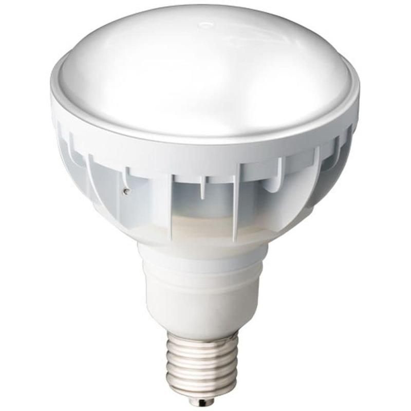 岩崎電気 ＬＥＤアイランプ５０Ｗ 本体白 昼白色 LDR50N-H-E39|W750