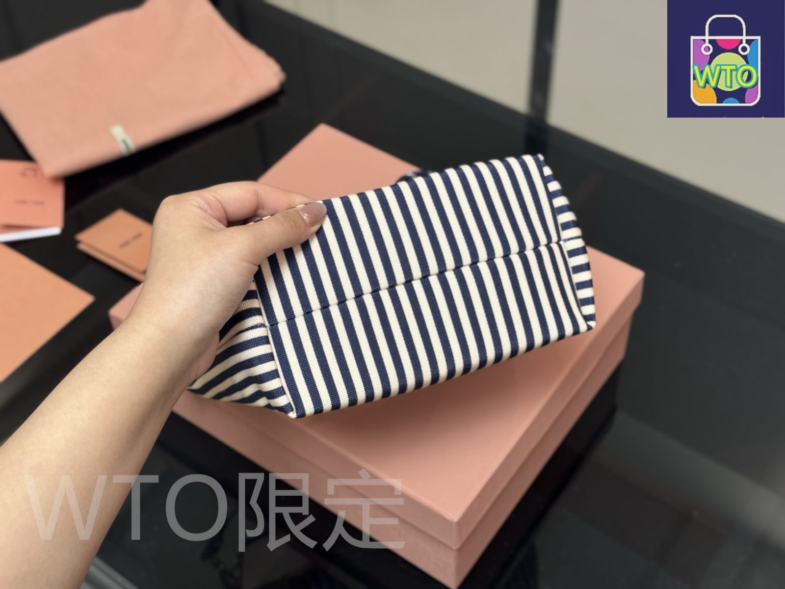 今日WTO】Miu Miu ミュウミュウ キャンバス ランチボックス