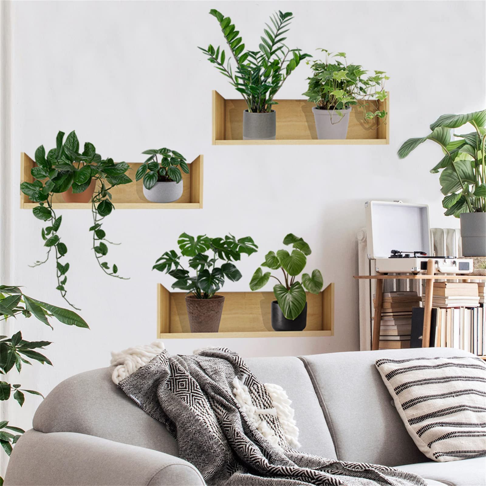 植物