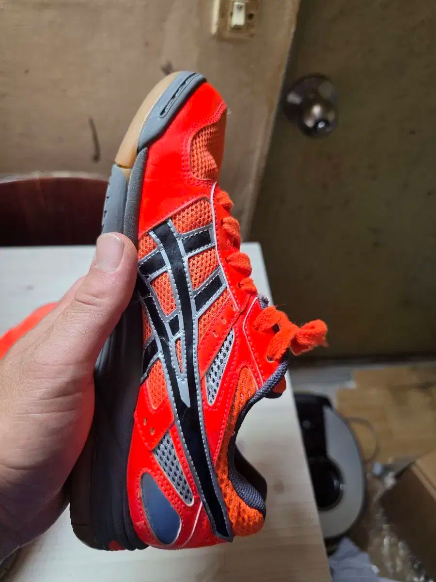 バレーボール バドミントン