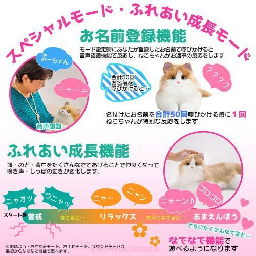 本物みたいな しっぽ