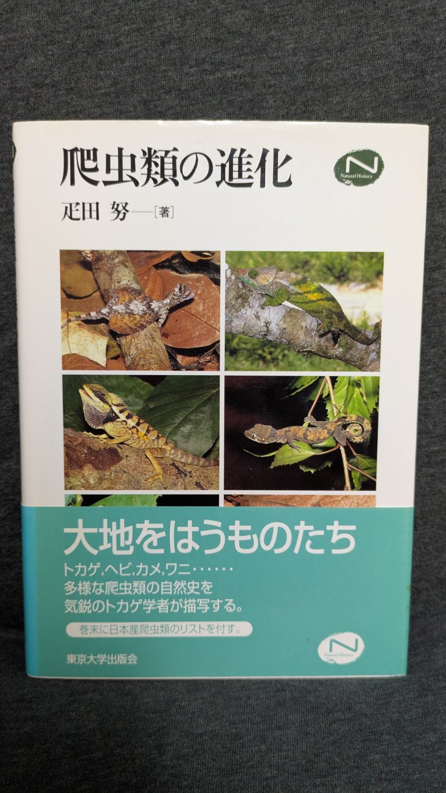 爬虫類の進化/東京大学出版会/疋田努（単行本） 爬虫類の進化 疋田 努(著) - 東京大学出版会 | 版元ドットコム