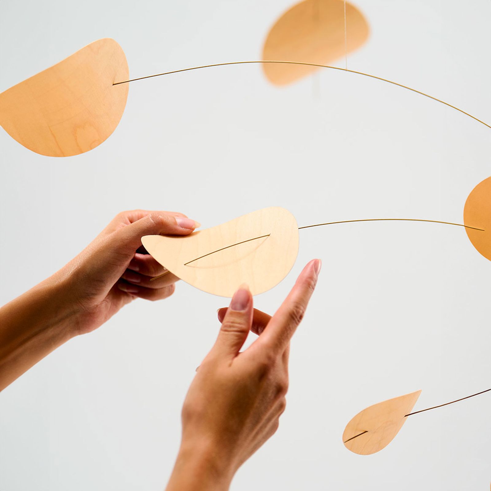 フレンステッド