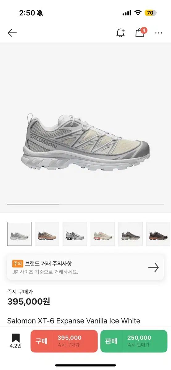 SALOMON サロモン XT ー 6 エクスペンス バニラ アイス 245
