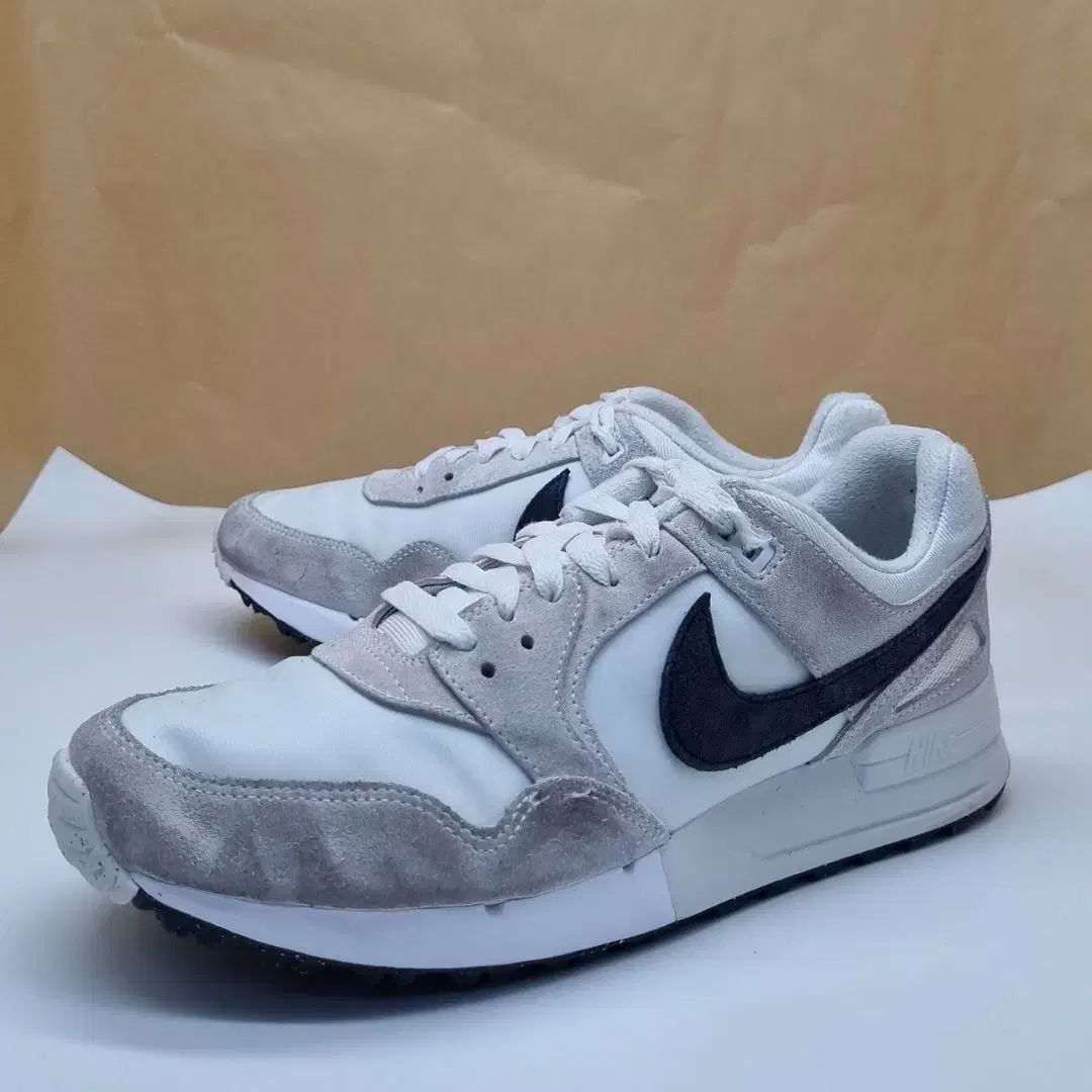 NIKE ナイキ エア ペガサス 89 ゴルフシューズ 255_