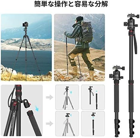 全高180cm 一脚可変式