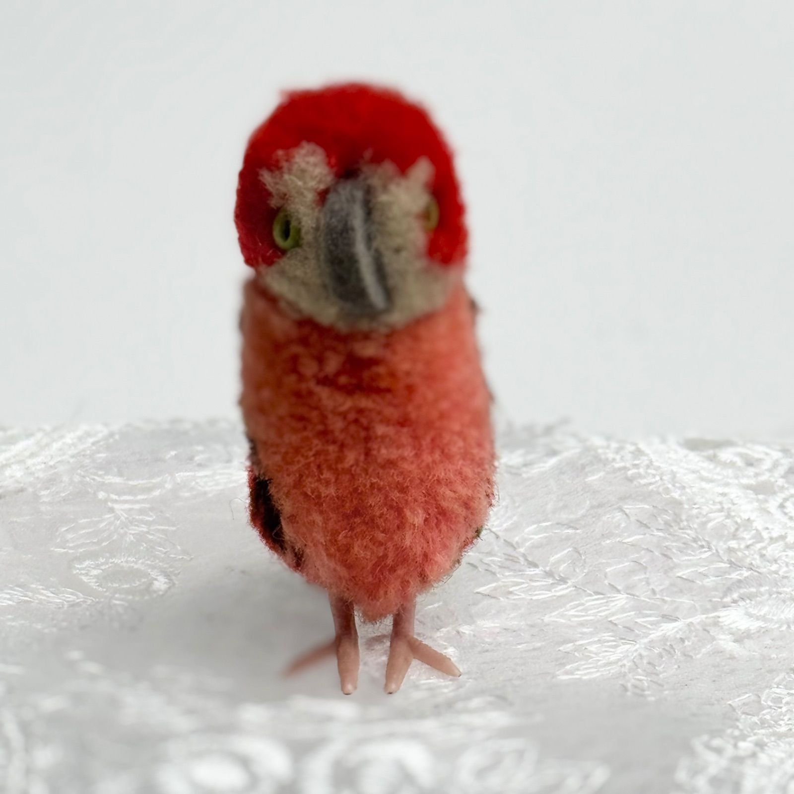 シュタイフ★Woolen Parrot ＆ Bird★ぽんぽんオウム & バード シュタイフ☆Woolen Parrot ＆ Bird☆ぽんぽんオウム & バード