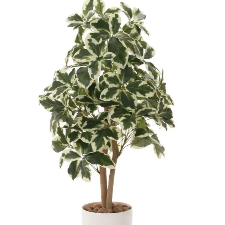 光触媒 人工観葉植物 ウォールグリーン フェイクグリーン 斑入