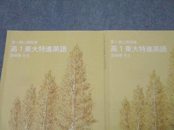 東進 東京大学 東大特進コース 高1東大特進英語 テキスト通年セット