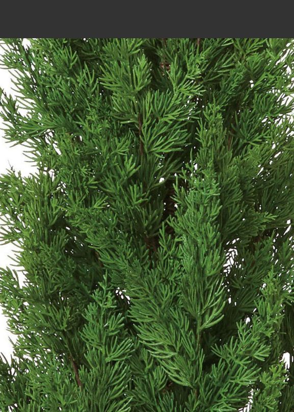 光触媒　人工観葉植物　ウォールグリーン　フェイクグリーン　サイプレスポット150 光触媒 人工観葉植物 ウォールグリーン フェイクグリーン サイプレス