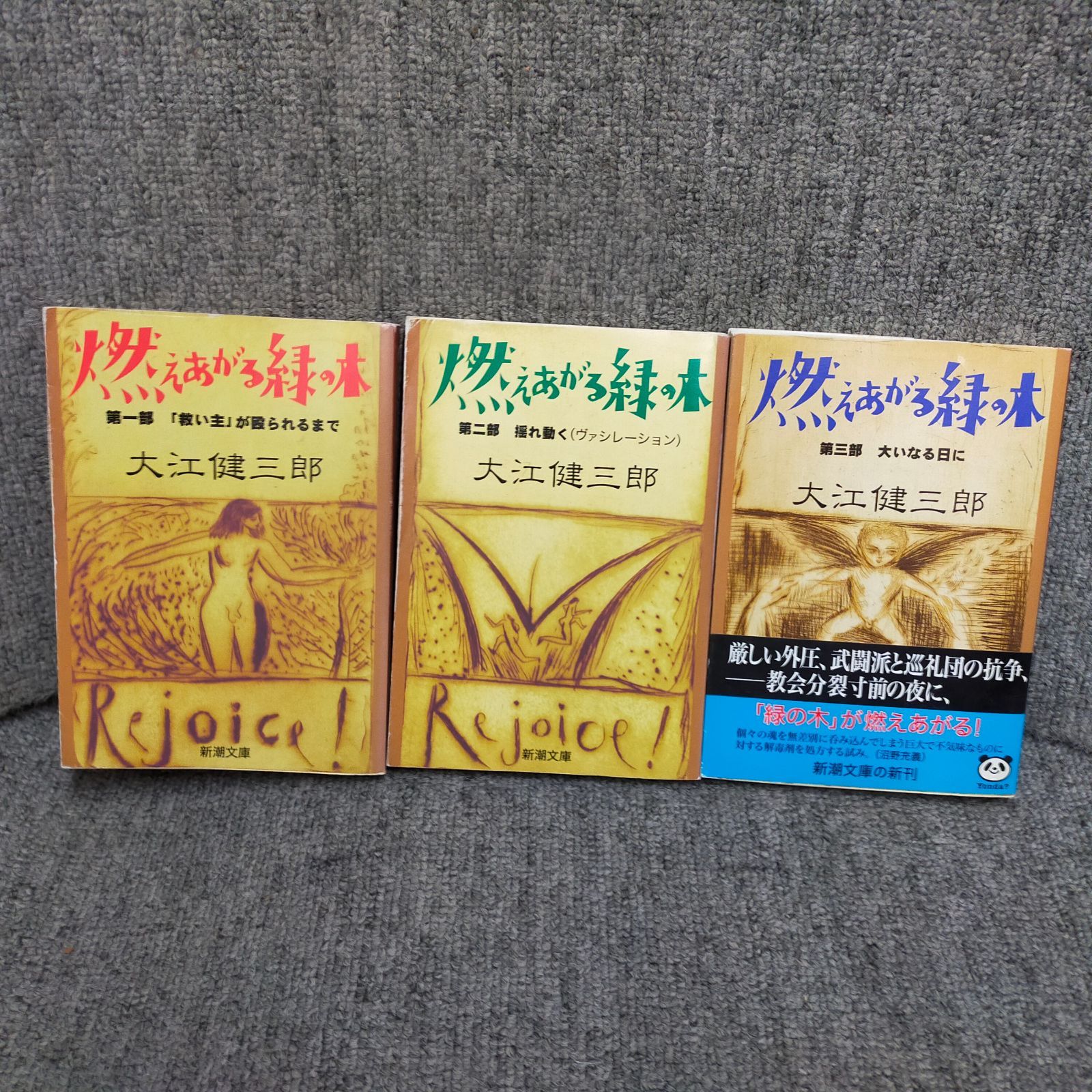[Book]燃えあがる緑の木　第1・2・3部　全3冊揃セット 大江健三郎 　初版　新潮社 [ハードカバー] ooeID:AP_09A_0032_B08TVGJHMT_A00_mercari