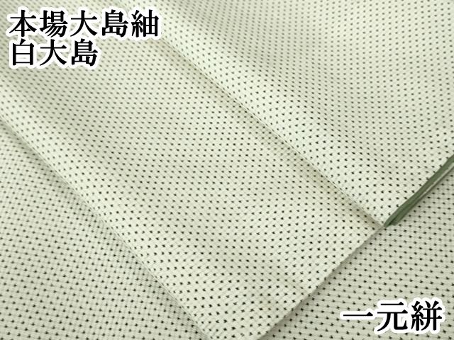 平和屋本店 上 本場大島紬 白大島 一元絣 DZAA4983kh5