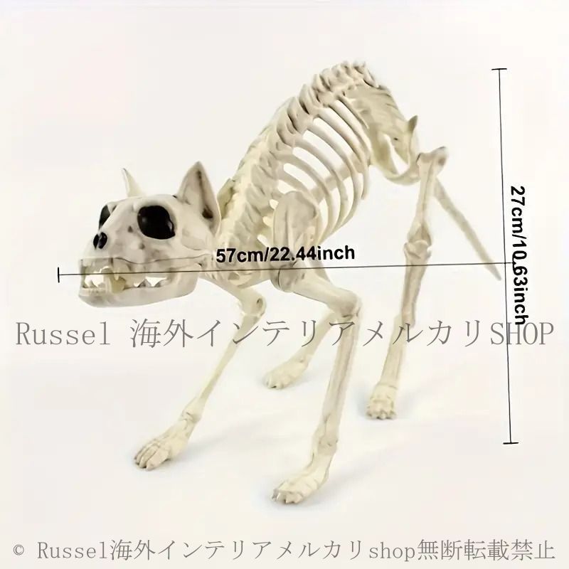 オブジェ 置物 猫 骨格 骸骨 スケルトン スカルキャット 動物