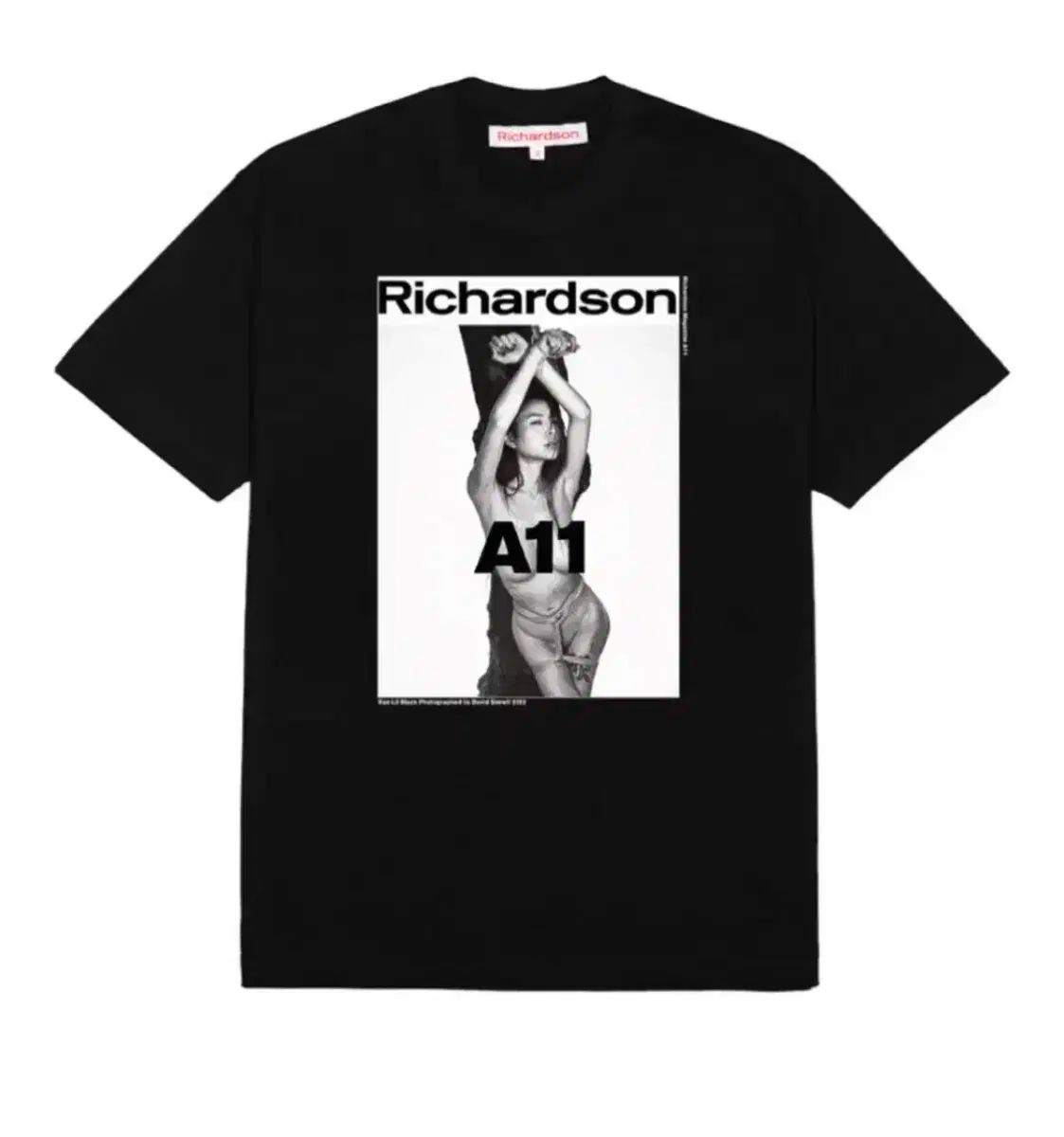 リチャードソン ショートスリーブ T シャツ ( S ) (新規 商品 レベル)