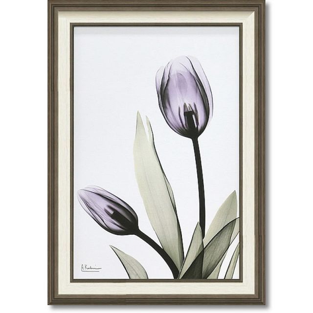 レントゲンアート 絵画　アートパネル　花　花びら　パネル 楽天市場】【抽選ポイント100％バック】レントゲンアート X RAY