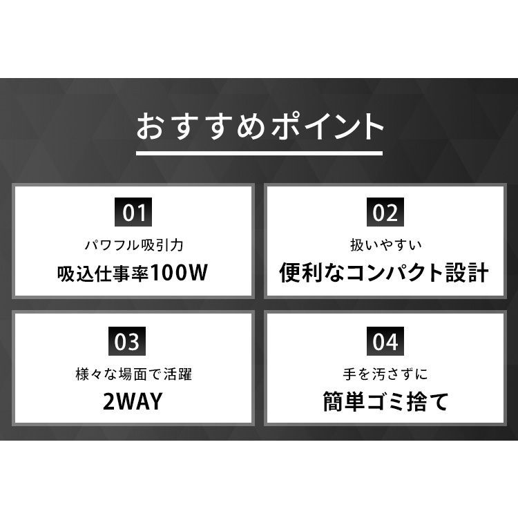 強力吸引 サイクロン
