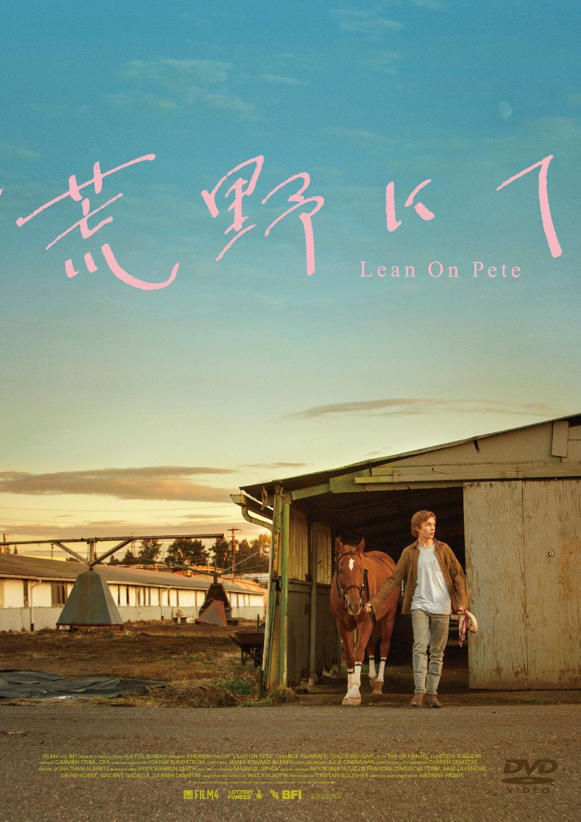荒野にて DVD