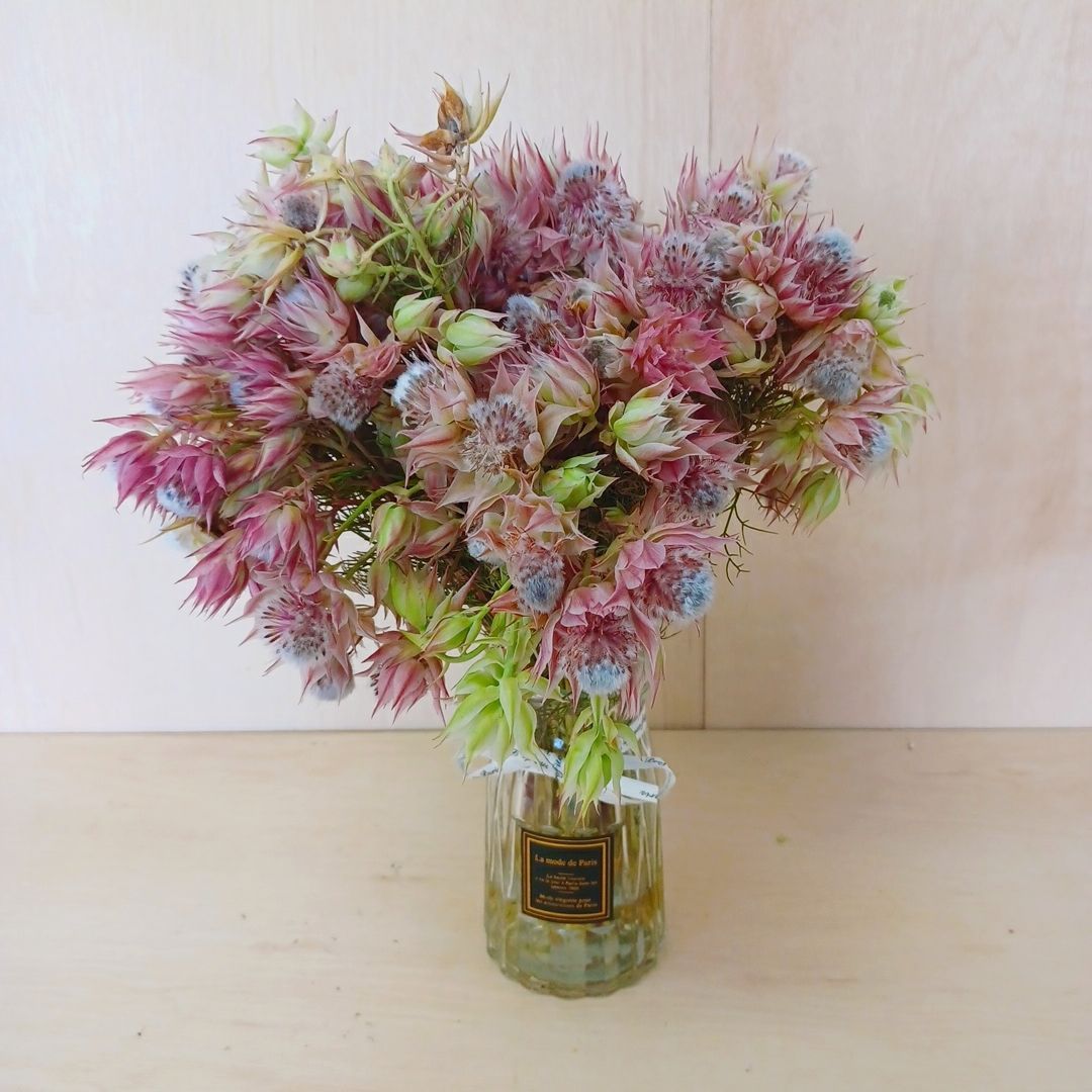 国産鉱物 万珠鉱山 紫松茸水晶（超レア！） 引田鉱山産 紫水晶