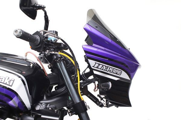 ダエグ zrx1200daeg カーボン リアフェンダー ZRX1200 DAEG リア