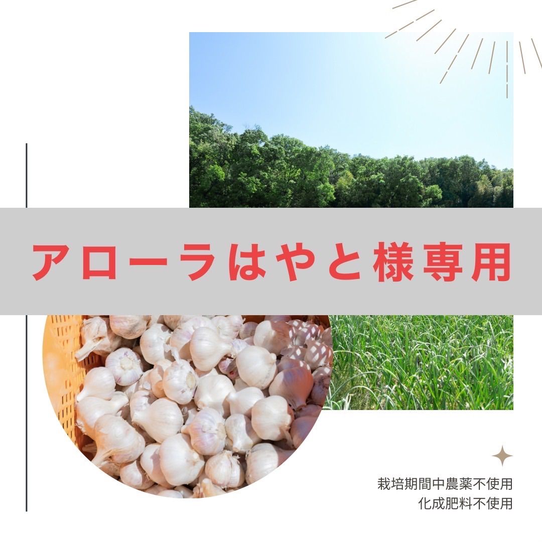 アローラはやと様 種にんにく 平戸5kg サイズ混合