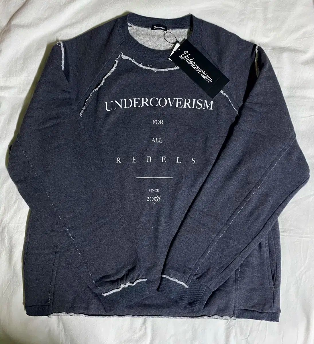 龍脈の精髄 煙水晶 宮崎の大地が授けた静かなる叡智 売上一部保護猫