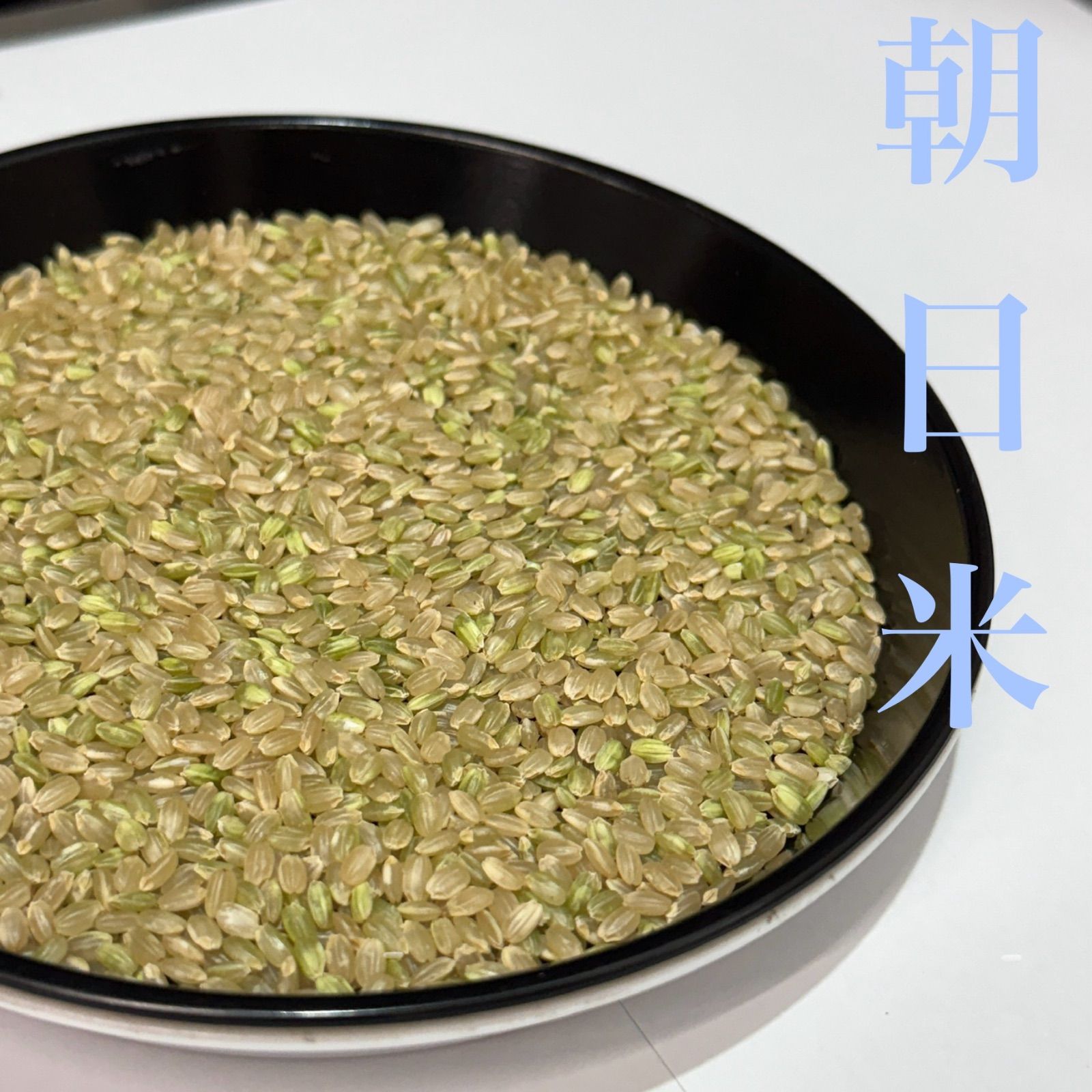 新米 岡山県産 朝日米 5kg×2 10kg 玄米 令和7年産