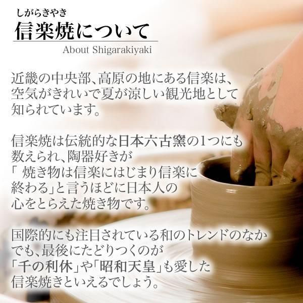 信楽焼 風水狸(紫色) 名誉運、福寿円満にご利益あり 縁起物 信楽焼