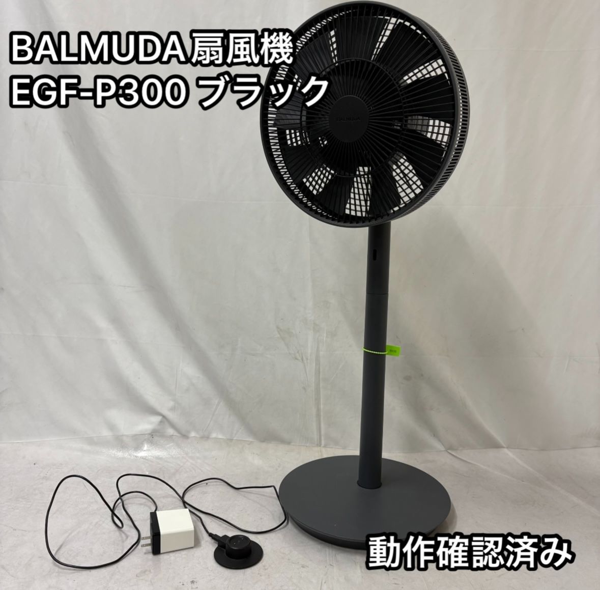 BALMUDA 扇風機 EGF-P300 2018年製 ブラック 黒 動作 済み