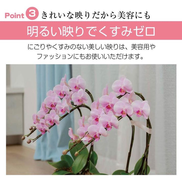 軽鏡セット同梱１００ｃｍ白