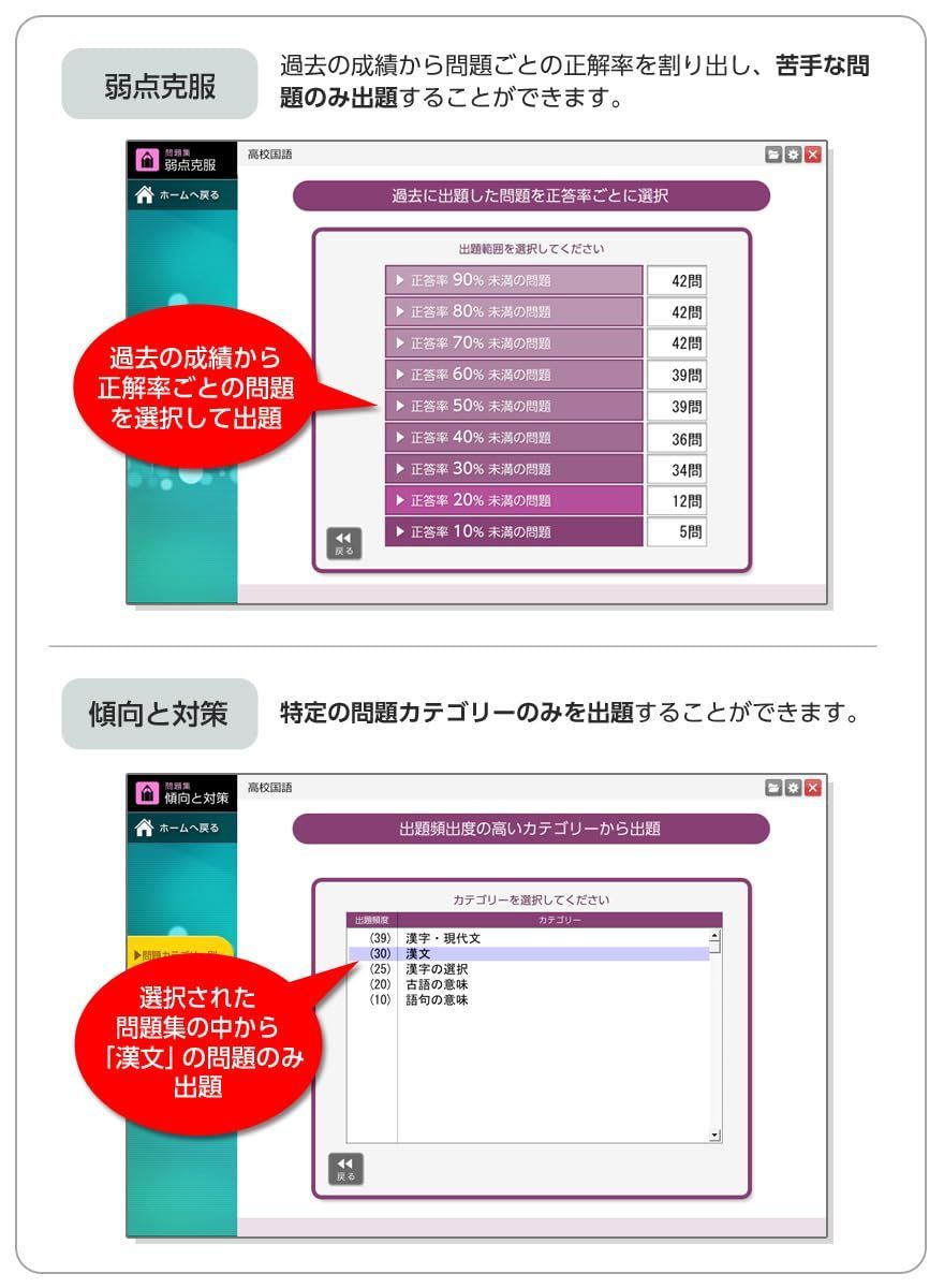 ラーニングスケルトンパーソナル 高校国語1～3年