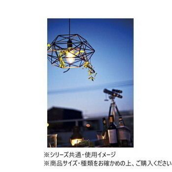 東谷 ライト