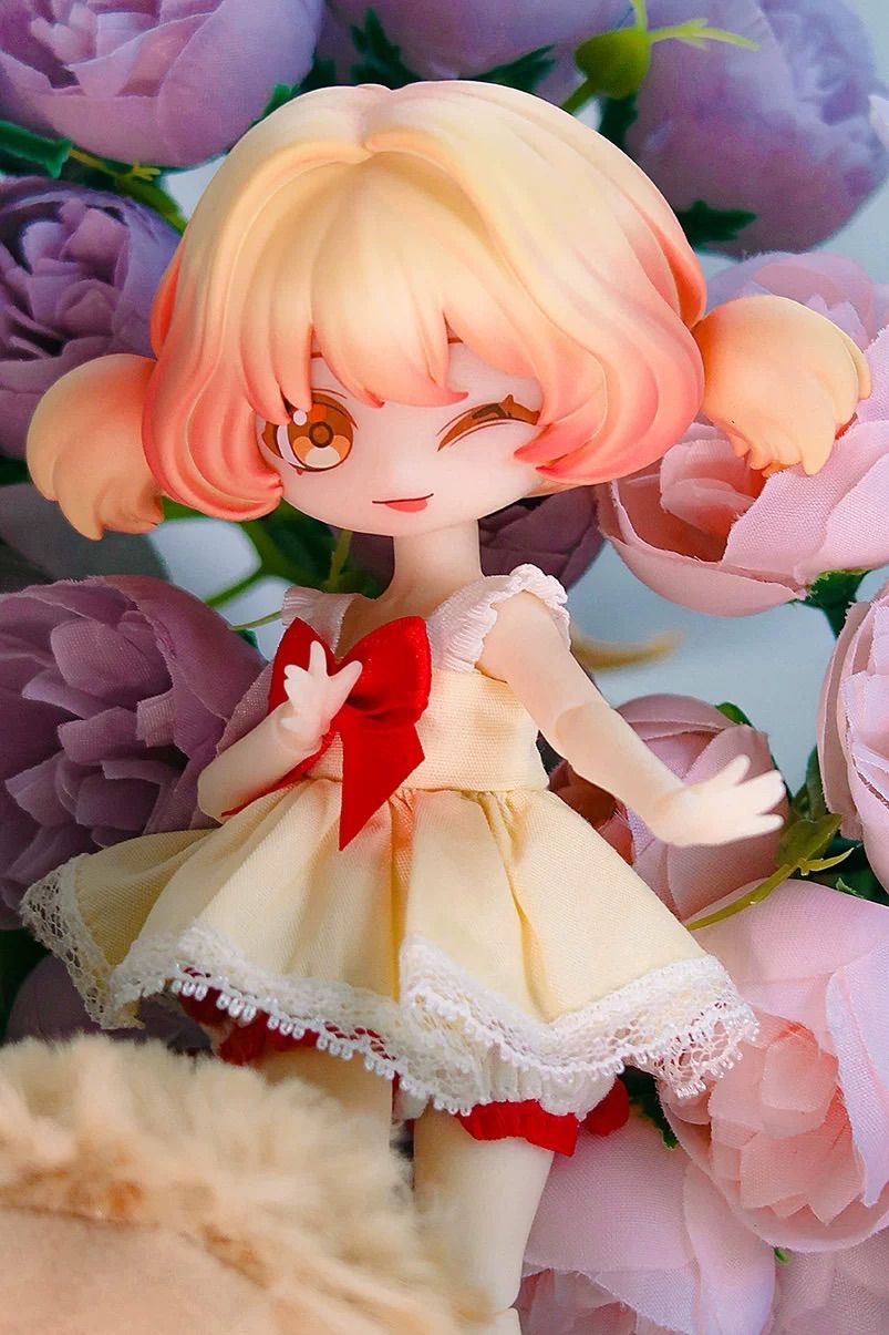 激レア　美品　フィリピン産　オウム貝　幼体 激レア 美品 フィリピン産 オウム貝 幼体