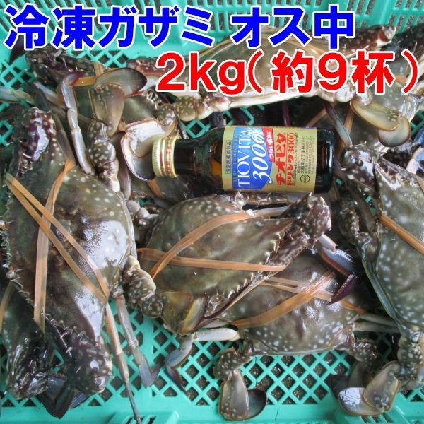 【平日15時まで即日発送可能】冷凍 ワタリガニ オス中サイズ２ｋｇ（約９杯） 渡り蟹 ガザミ 梭子蟹 ケジャンにも！ 送料無料 がざみ 蟹通販 宮城県産 「冷凍 ガザミ オス中２ｋｇ」【80】