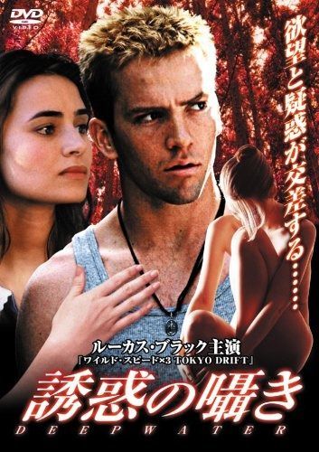 誘惑の囁き DVD