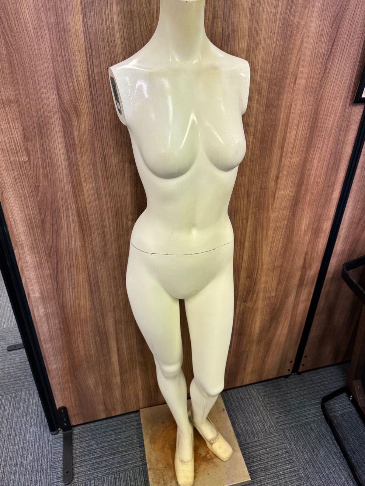 女性マネキン レディース