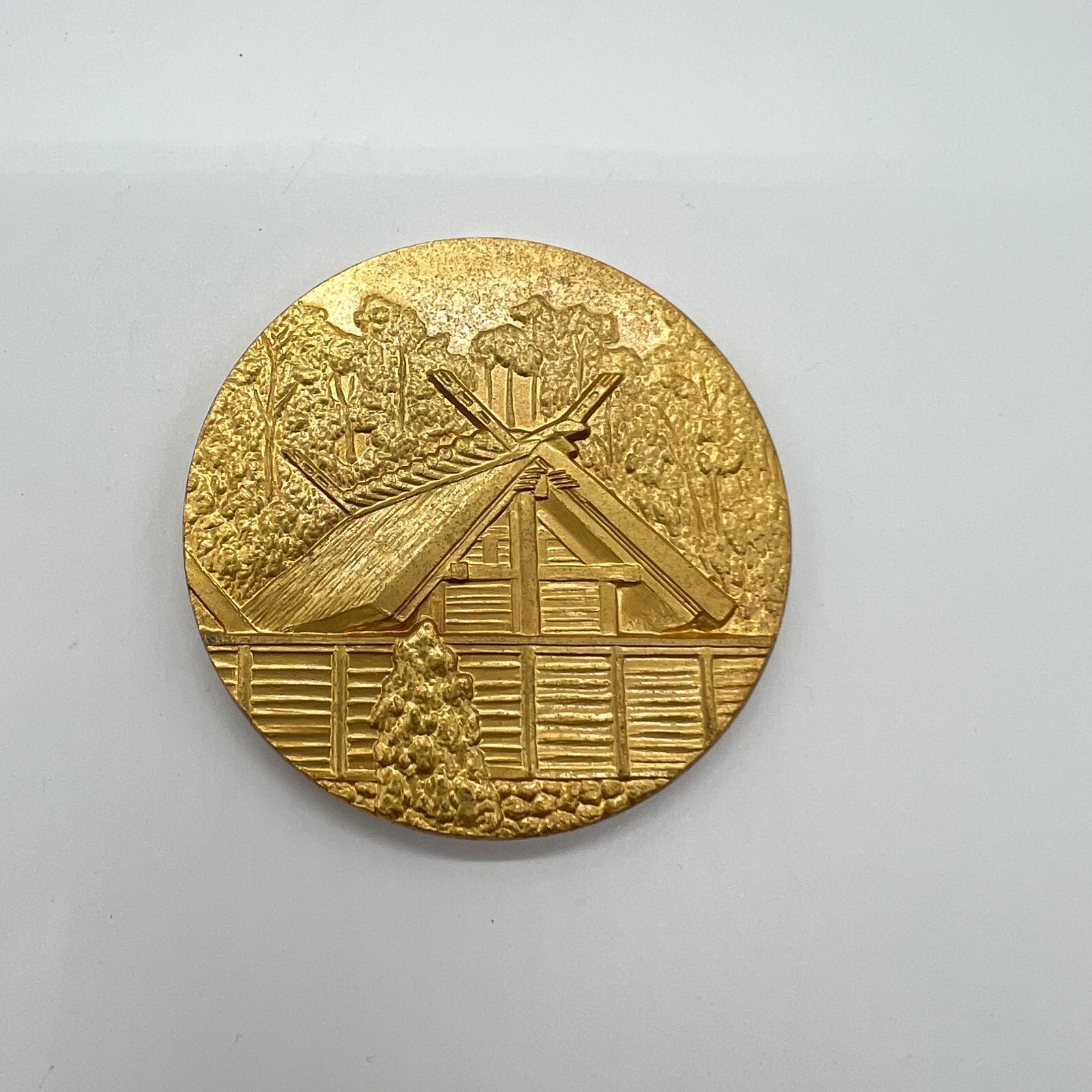 希少品】四鉄100周年記念メダル 公式記念メダル 2枚 - メルカリ