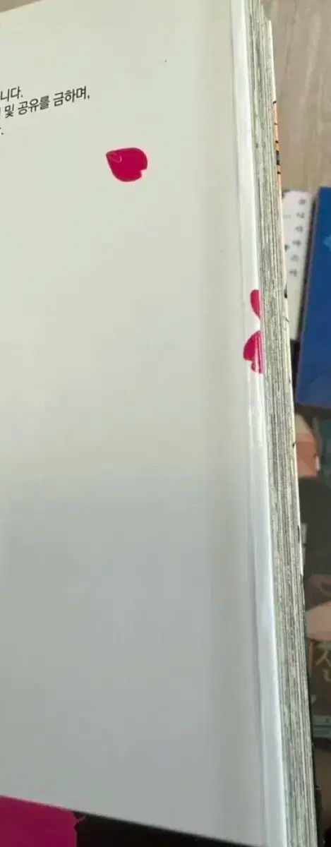 オスからオス それはいいだろう