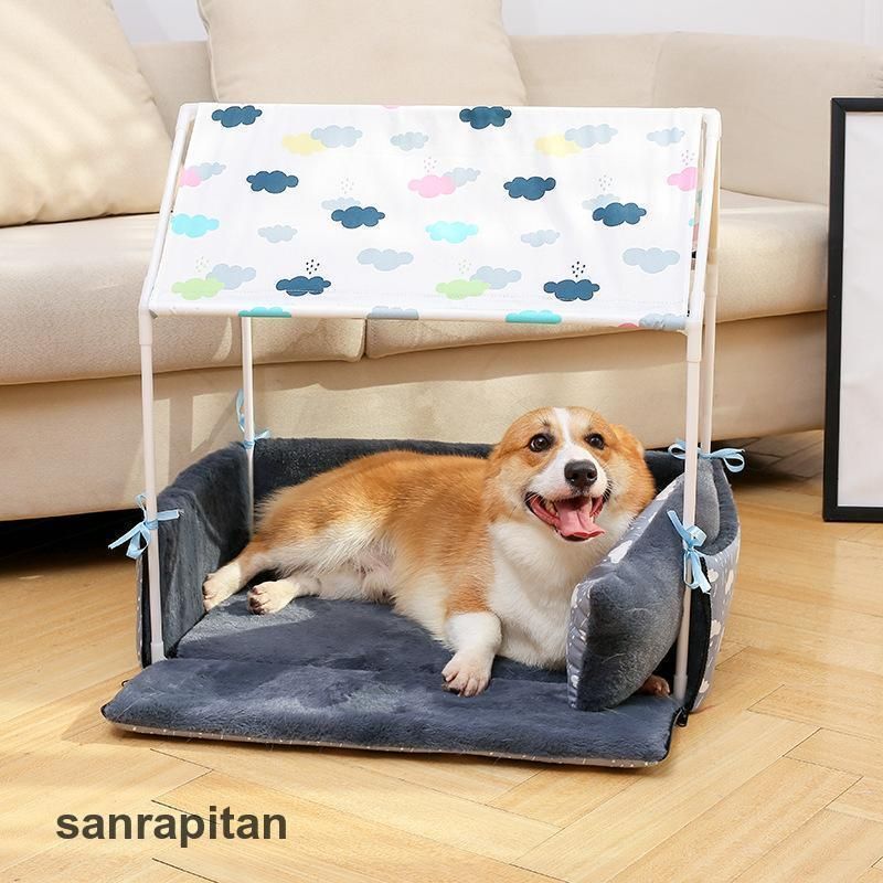 猫 小型犬