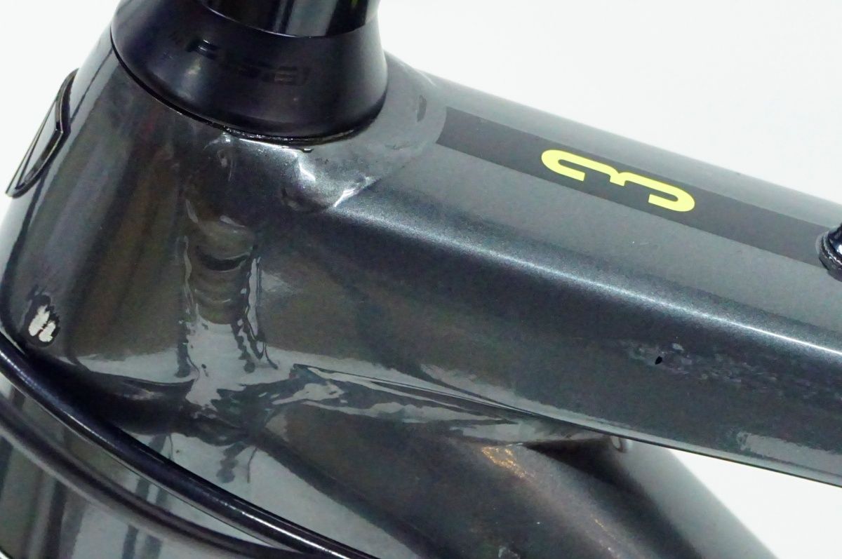 DOMANE