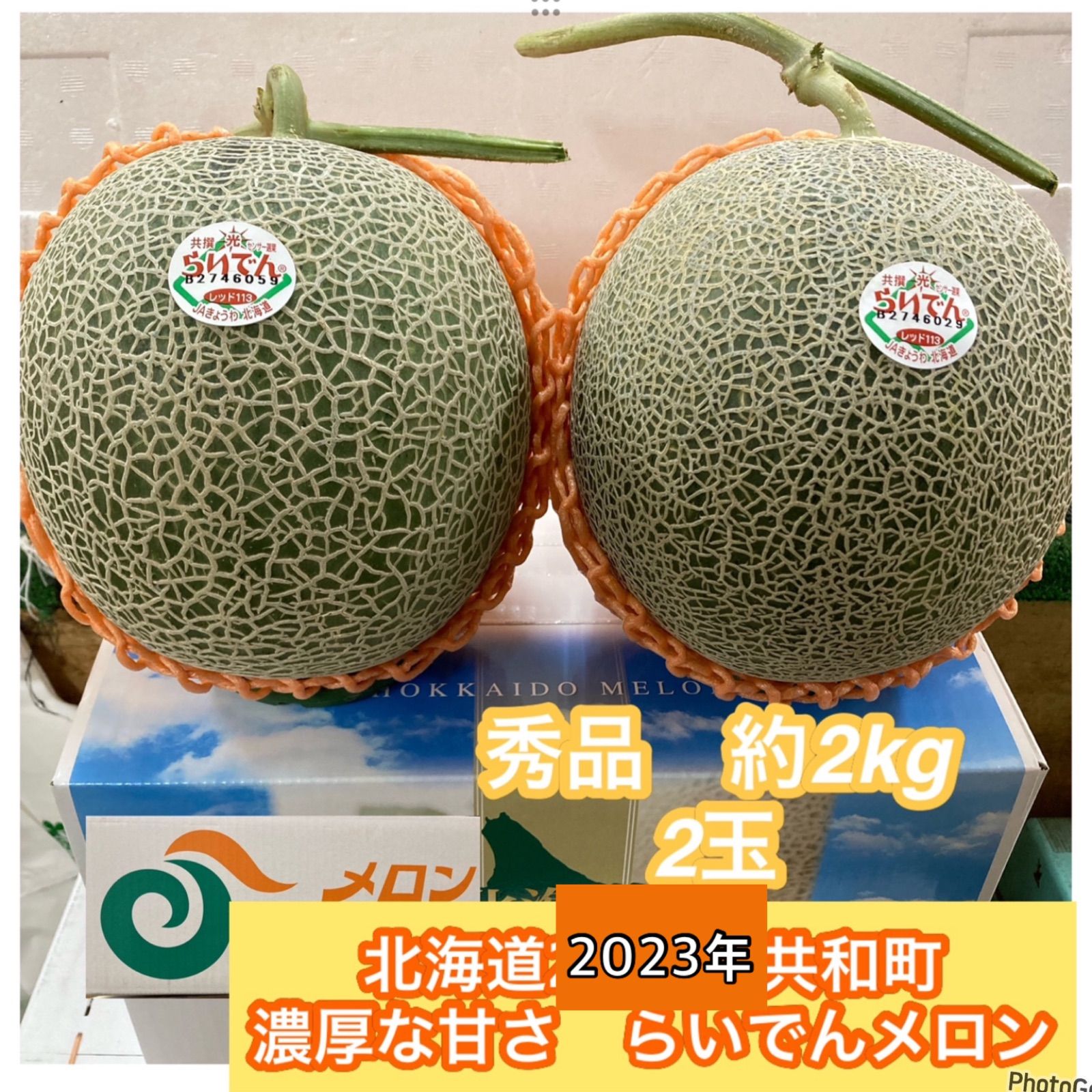 2023年北海道最強セット野菜【秋も濃厚な甘さ北海道共和町らいでんメロン2玉〔合計約4kg前後〕】常温発送