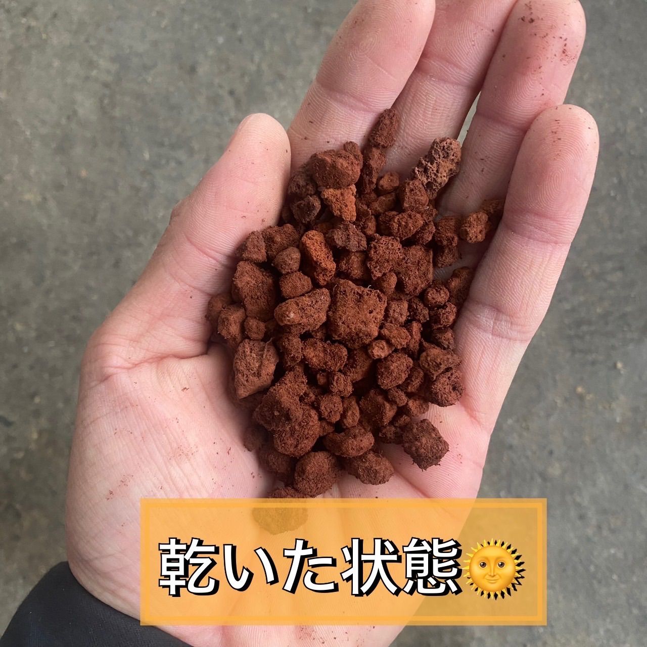 FitLine ベーシックス& PMフィットラインレスレイト+鉄 4個セット