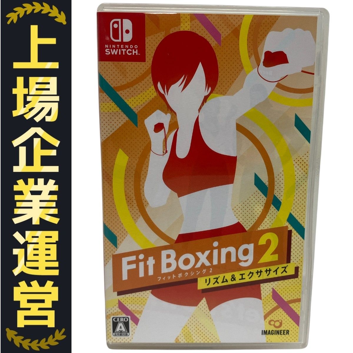 Nintendo Switch ニンテンドースイッチ ゲームソフト フィット
