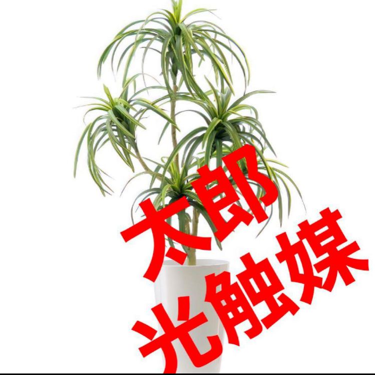 光触媒 人工観葉植物 人工観葉植物 フェイクグリーン ドラセナ